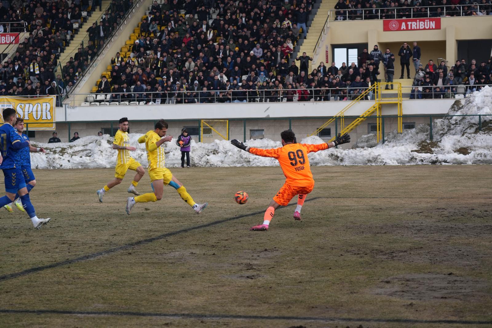 Whatsapp Image 2026 02 08 At 14.15.18