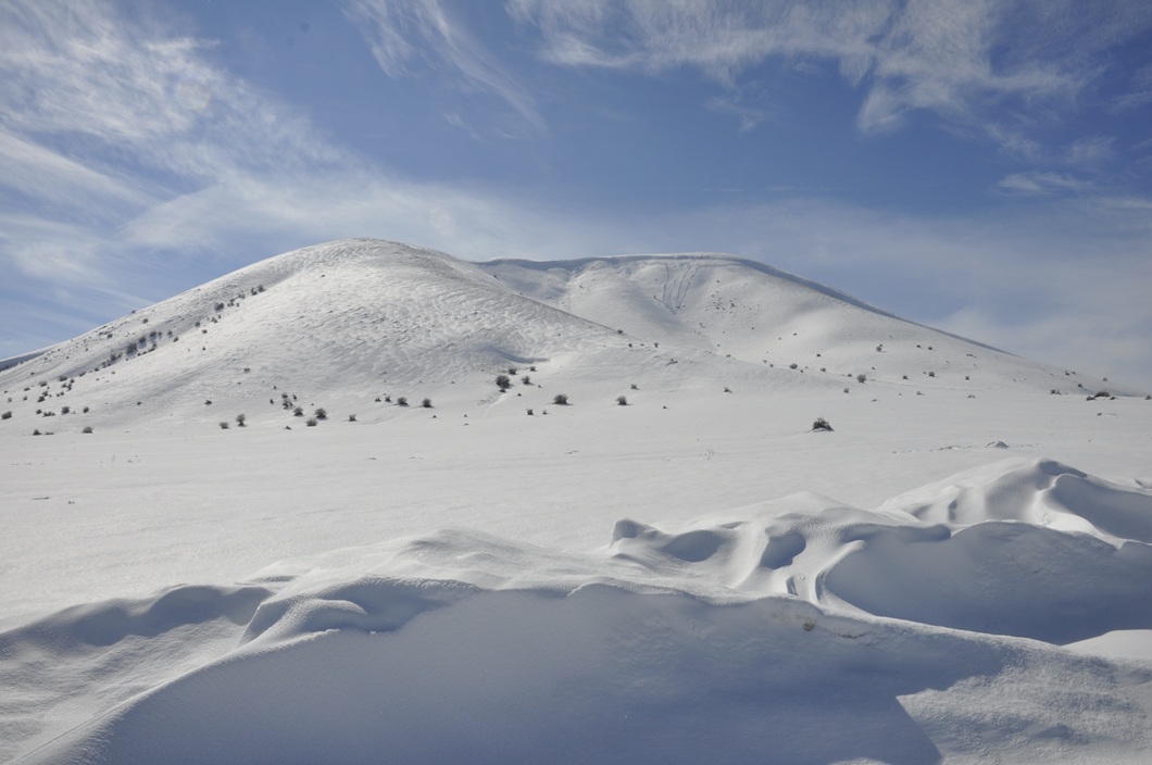 Whatsapp Image 2026 02 08 At 20.50.36