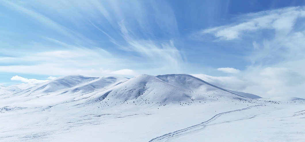 Whatsapp Image 2026 02 08 At 20.51.04