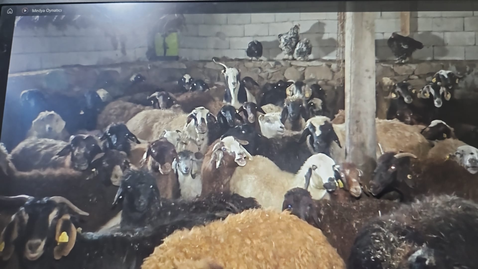 Whatsapp Image 2026 02 08 At 21.41.07 (1)