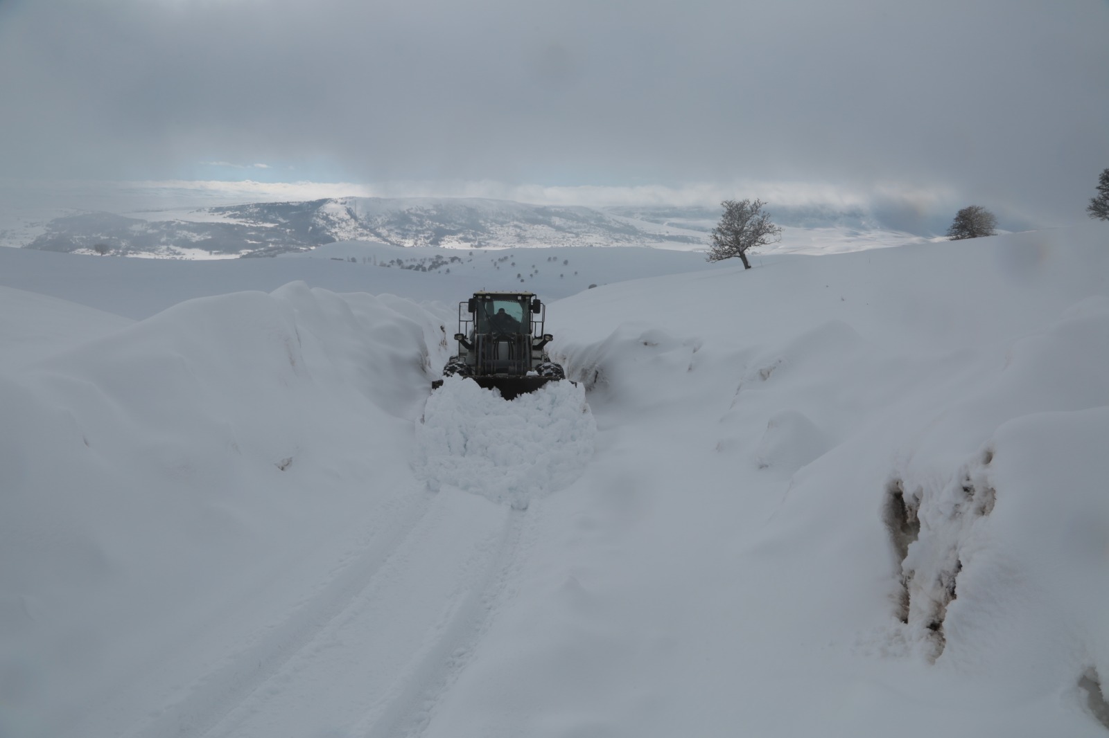 Whatsapp Image 2026 02 10 At 09.37.21 (13)