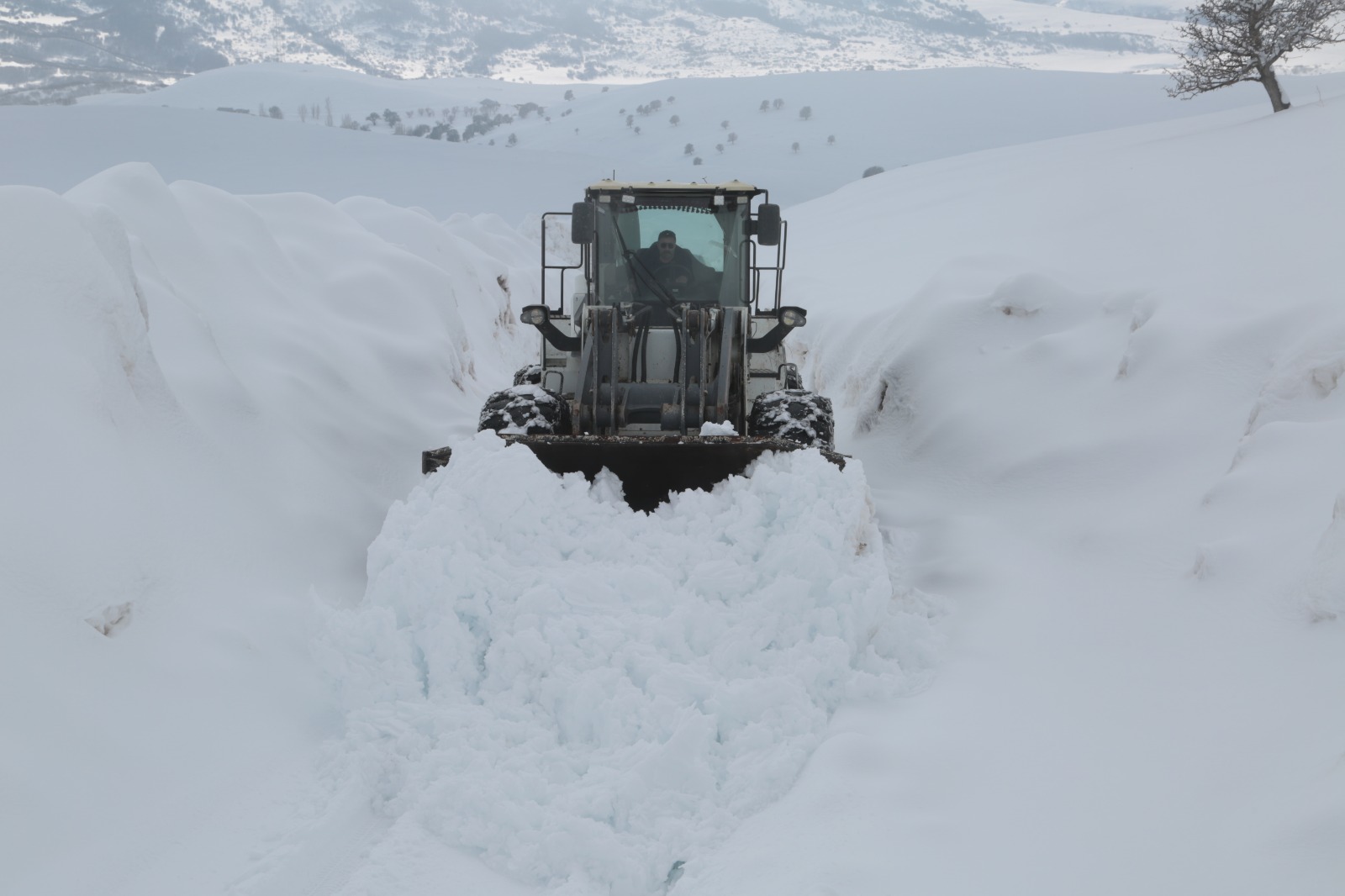 Whatsapp Image 2026 02 10 At 09.37.21 (14)