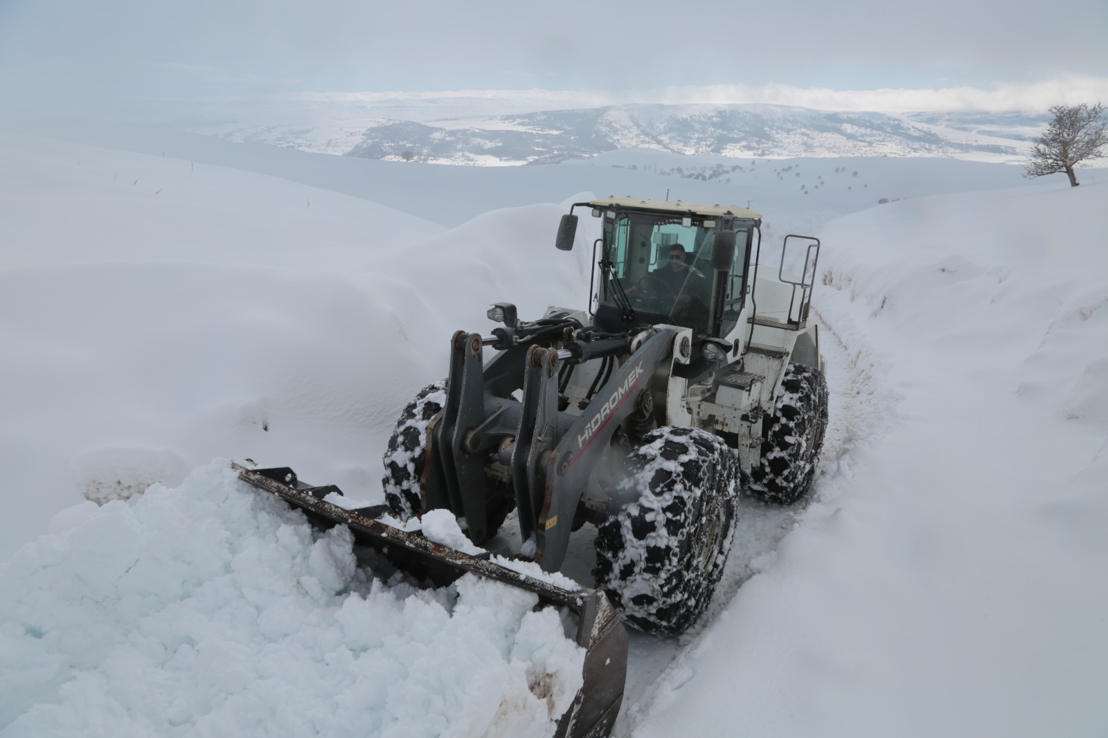 Whatsapp Image 2026 02 10 At 09.37.21 (15)