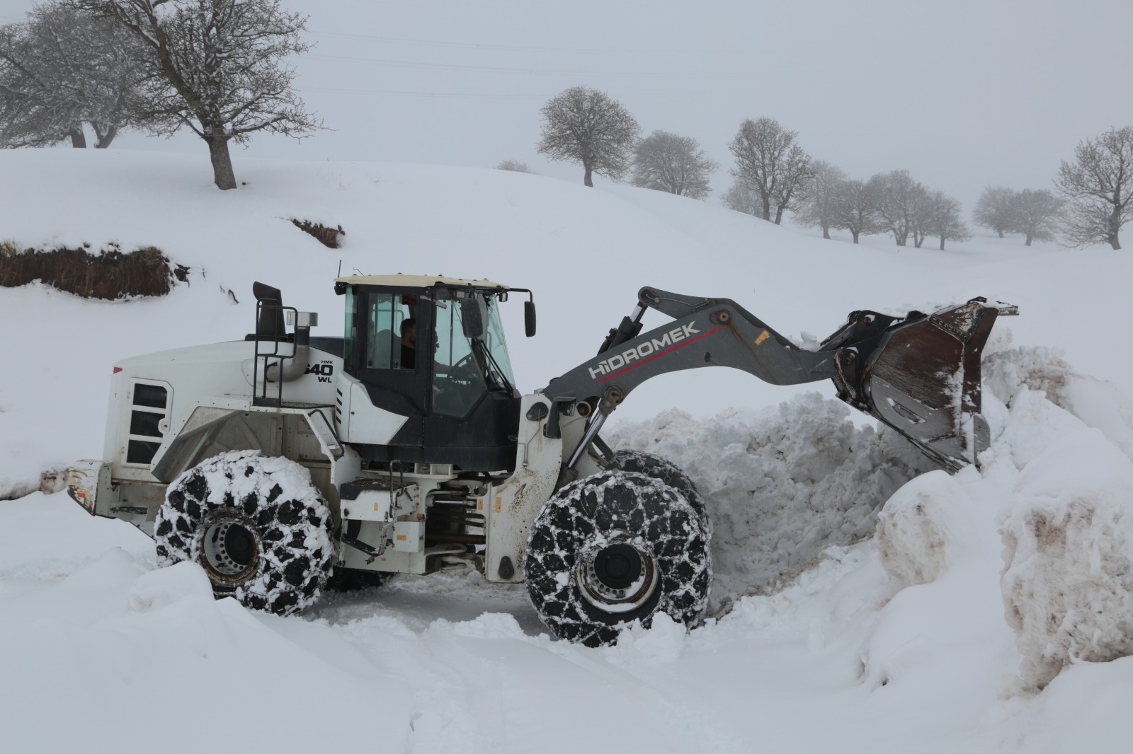 Whatsapp Image 2026 02 10 At 09.37.21 (16)