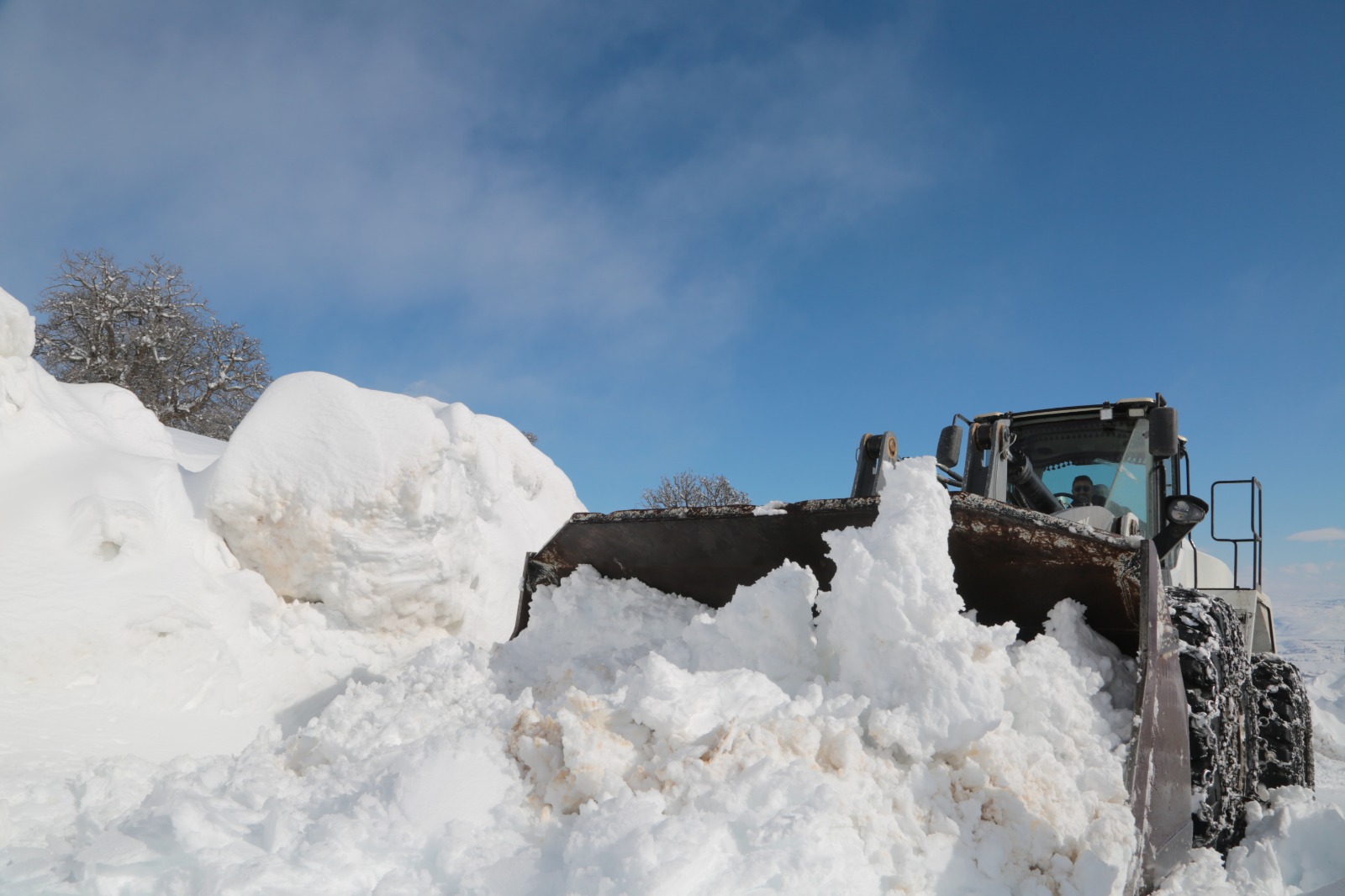 Whatsapp Image 2026 02 10 At 09.37.21 (9)