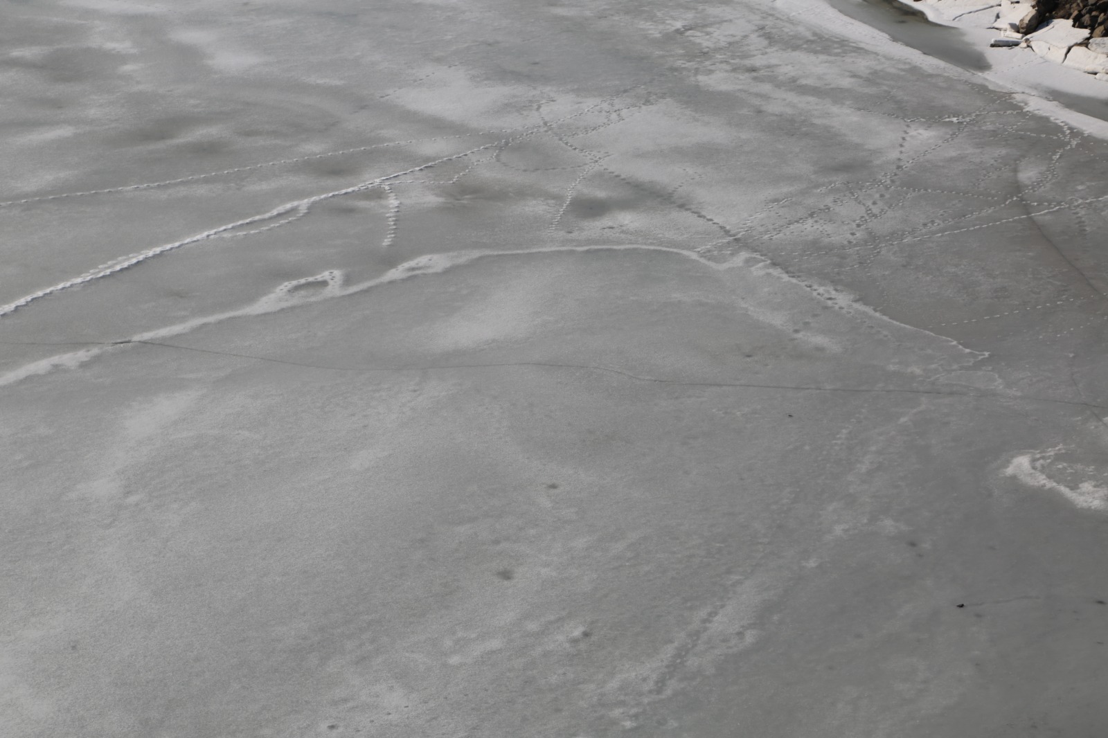 Whatsapp Image 2026 02 11 At 09.58.04 (9)