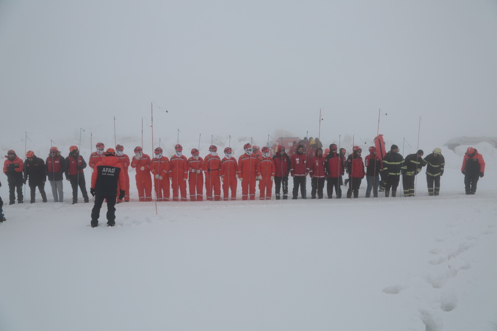 Whatsapp Image 2026 02 11 At 14.07.55