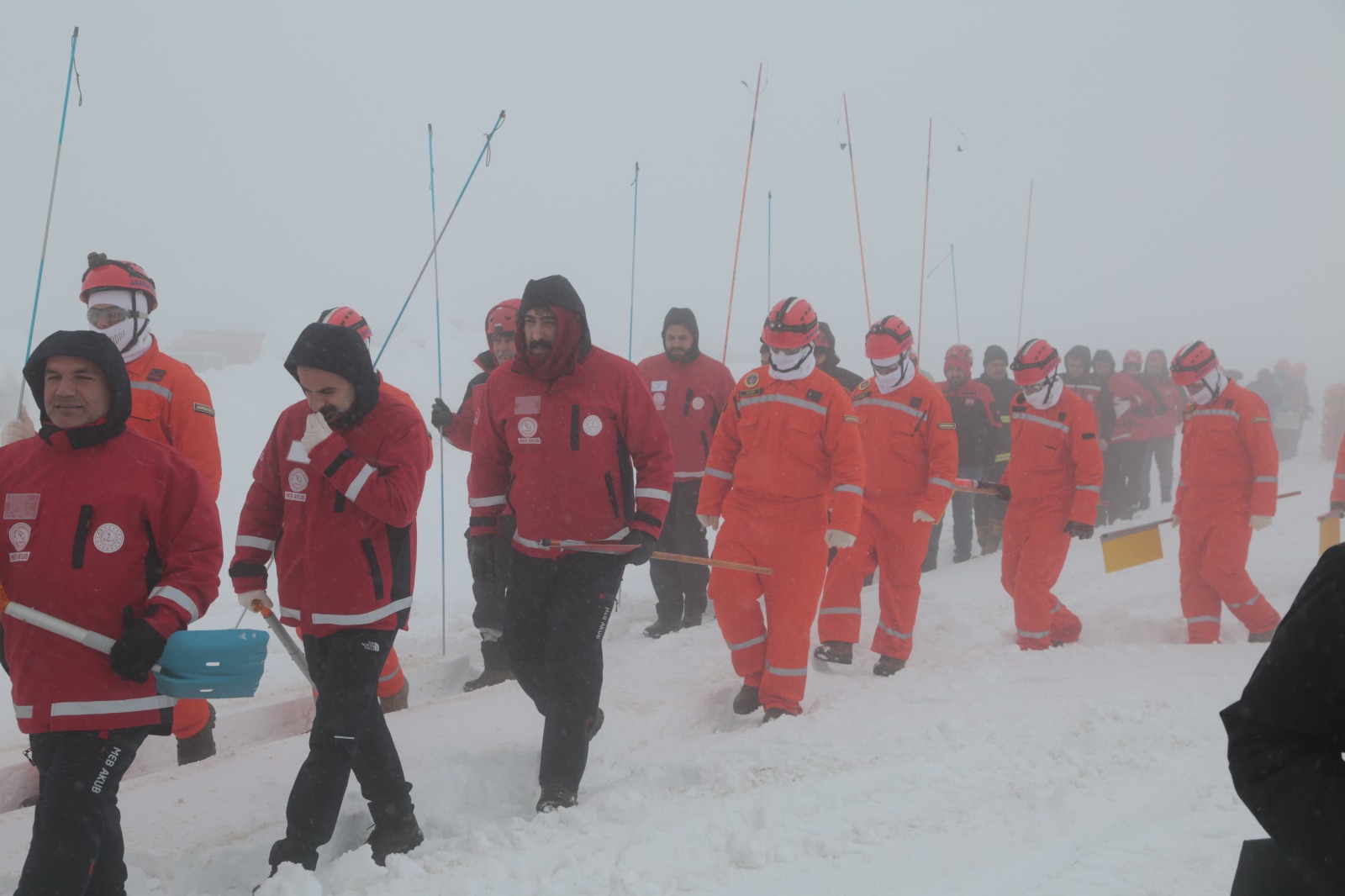 Whatsapp Image 2026 02 11 At 14.08.01