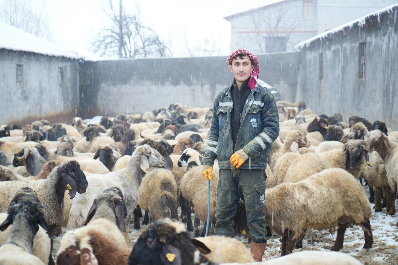 Whatsapp Image 2026 02 12 At 12.08.53