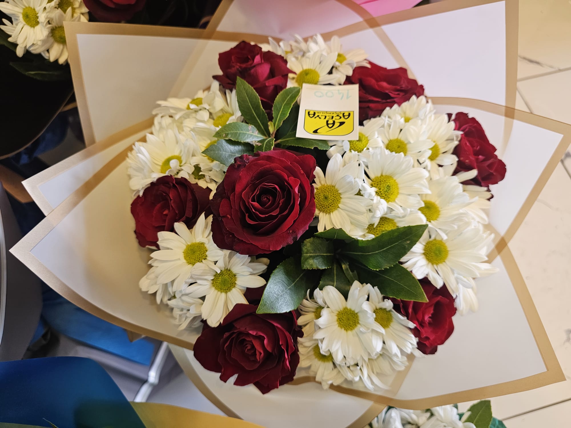 Whatsapp Image 2026 02 14 At 15.37.34 (1)