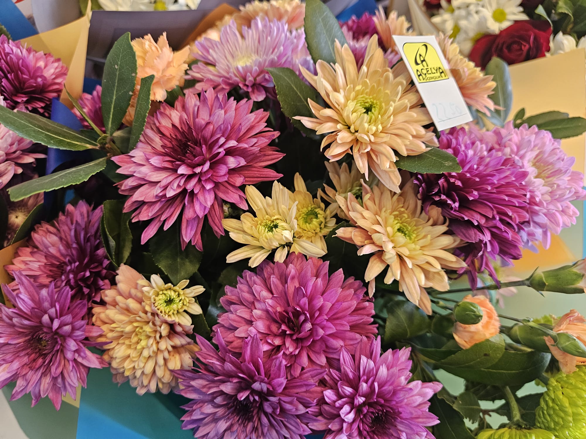 Whatsapp Image 2026 02 14 At 15.37.34 (2)