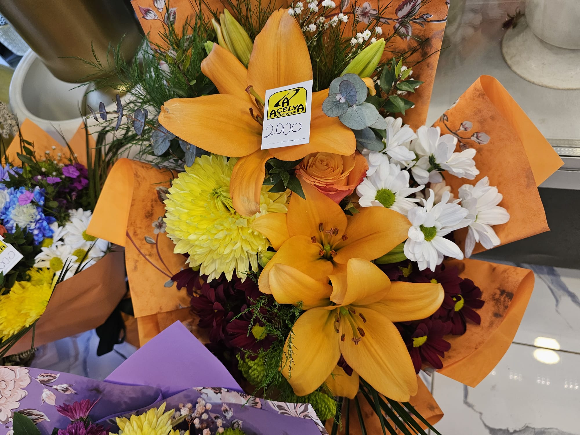 Whatsapp Image 2026 02 14 At 15.37.36 (2)