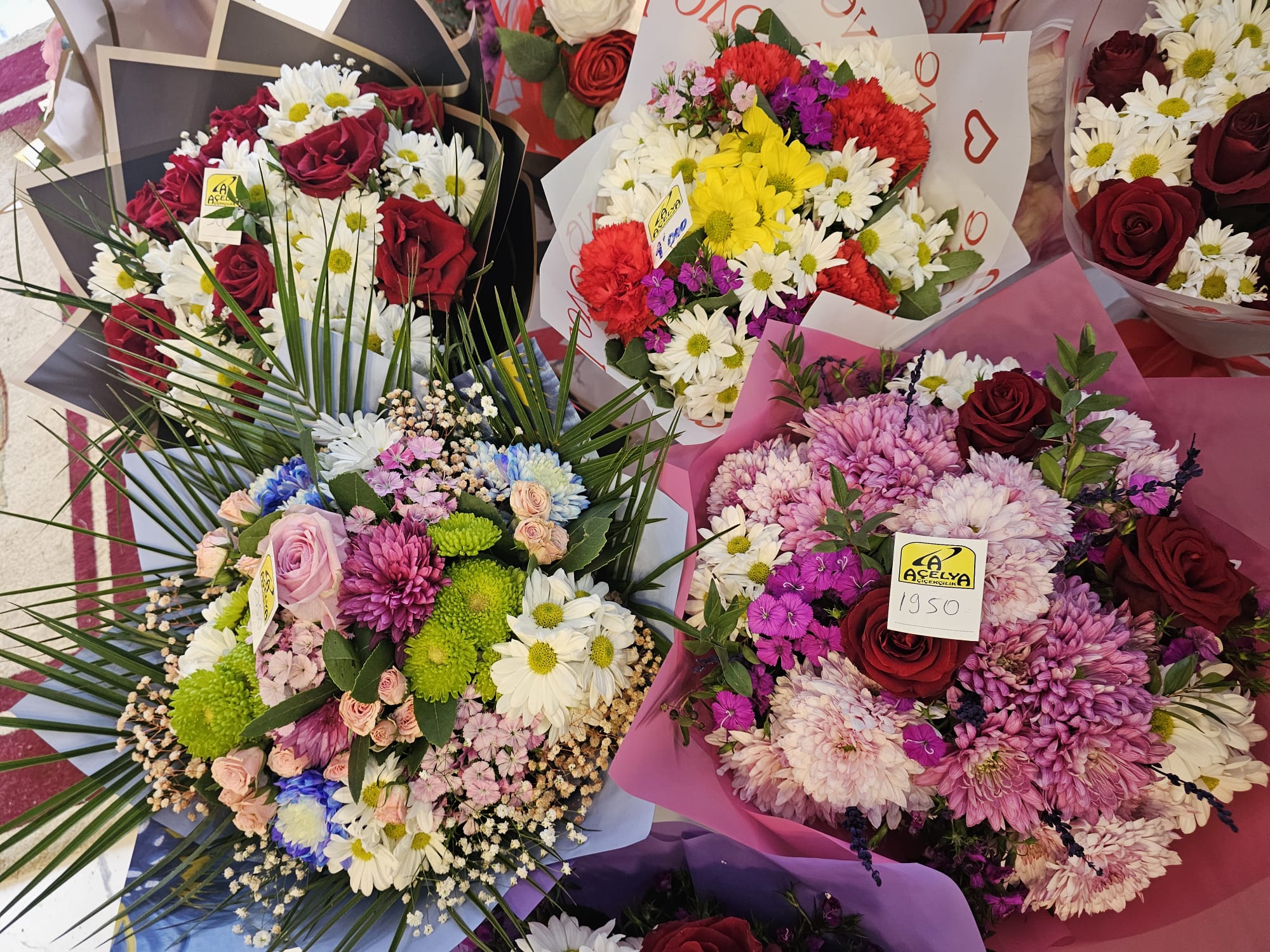 Whatsapp Image 2026 02 14 At 15.37.37