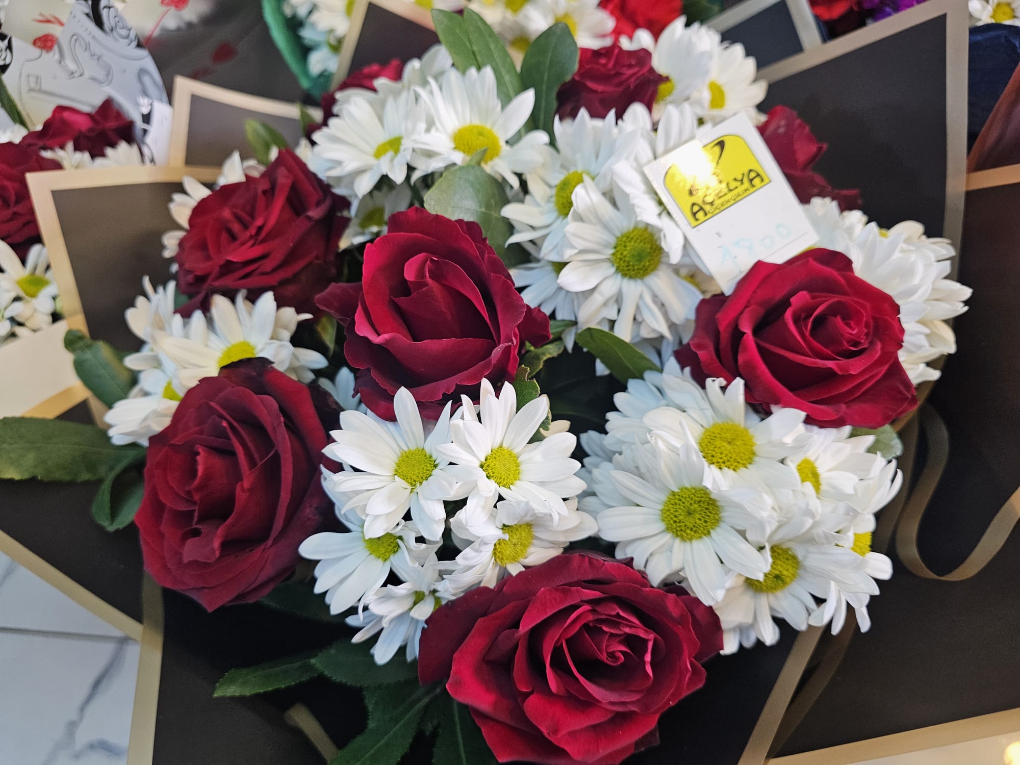 Whatsapp Image 2026 02 14 At 15.37.38