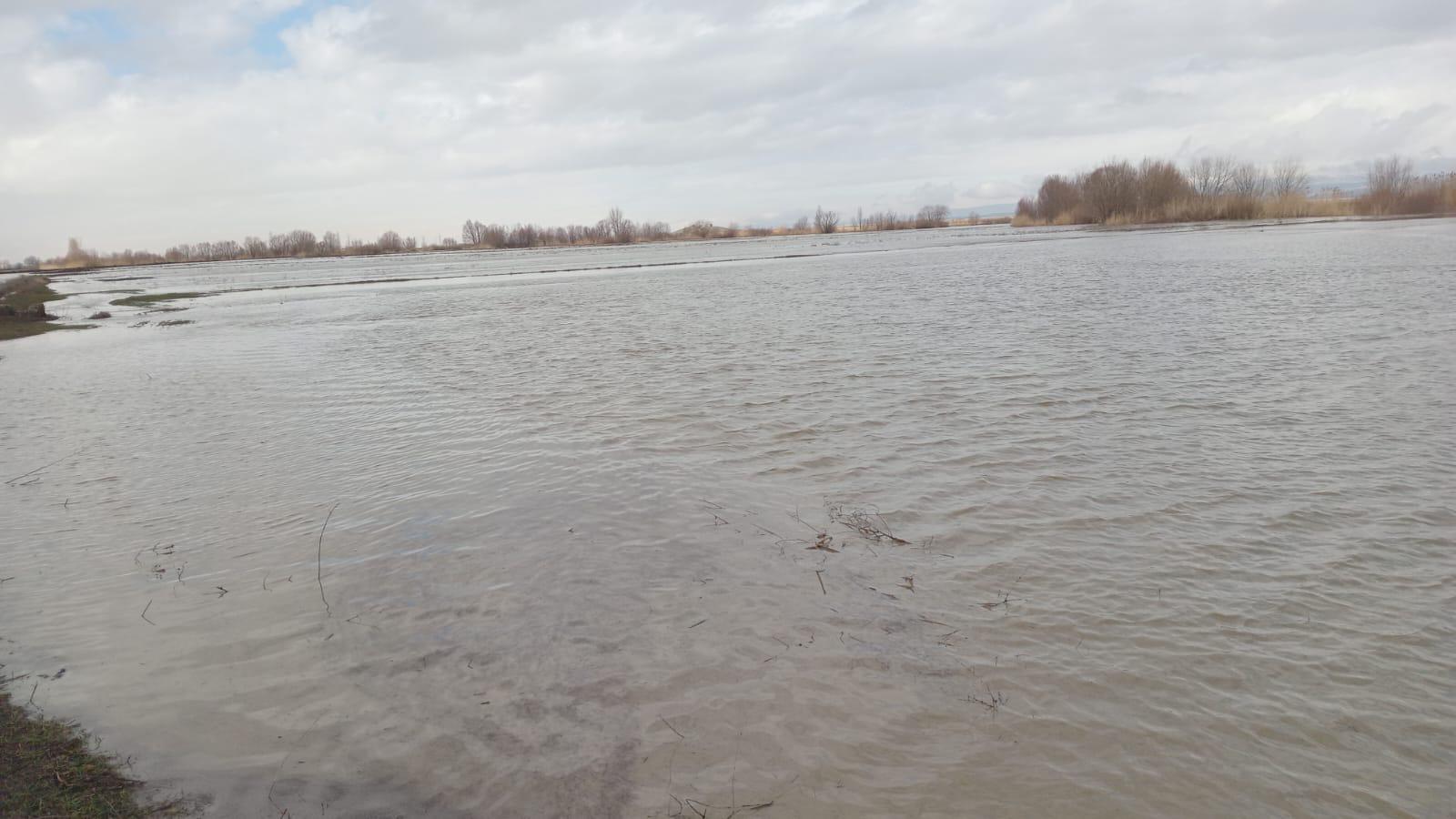 Whatsapp Image 2026 02 14 At 17.37.16 (2)