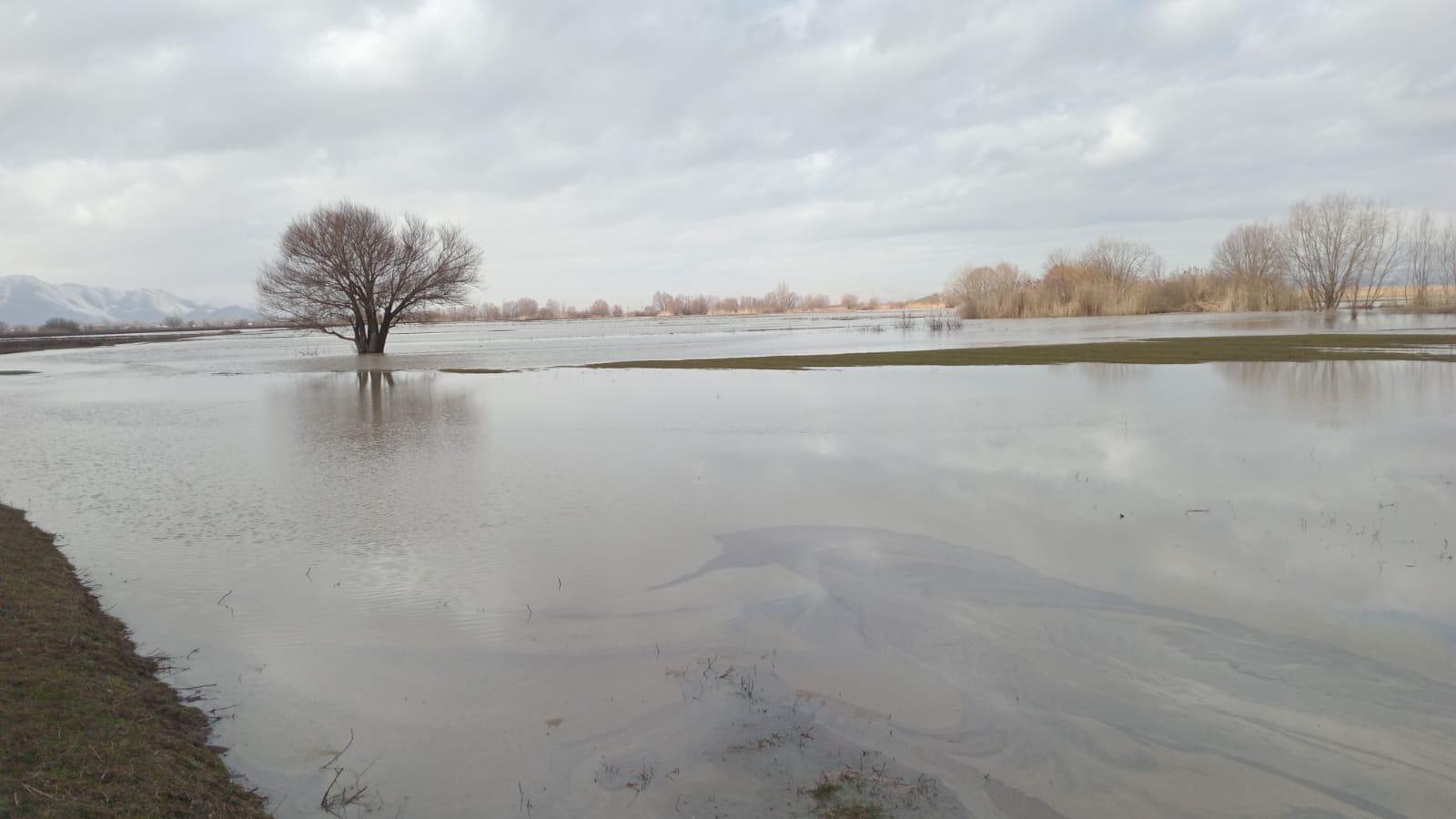 Whatsapp Image 2026 02 14 At 17.37.16