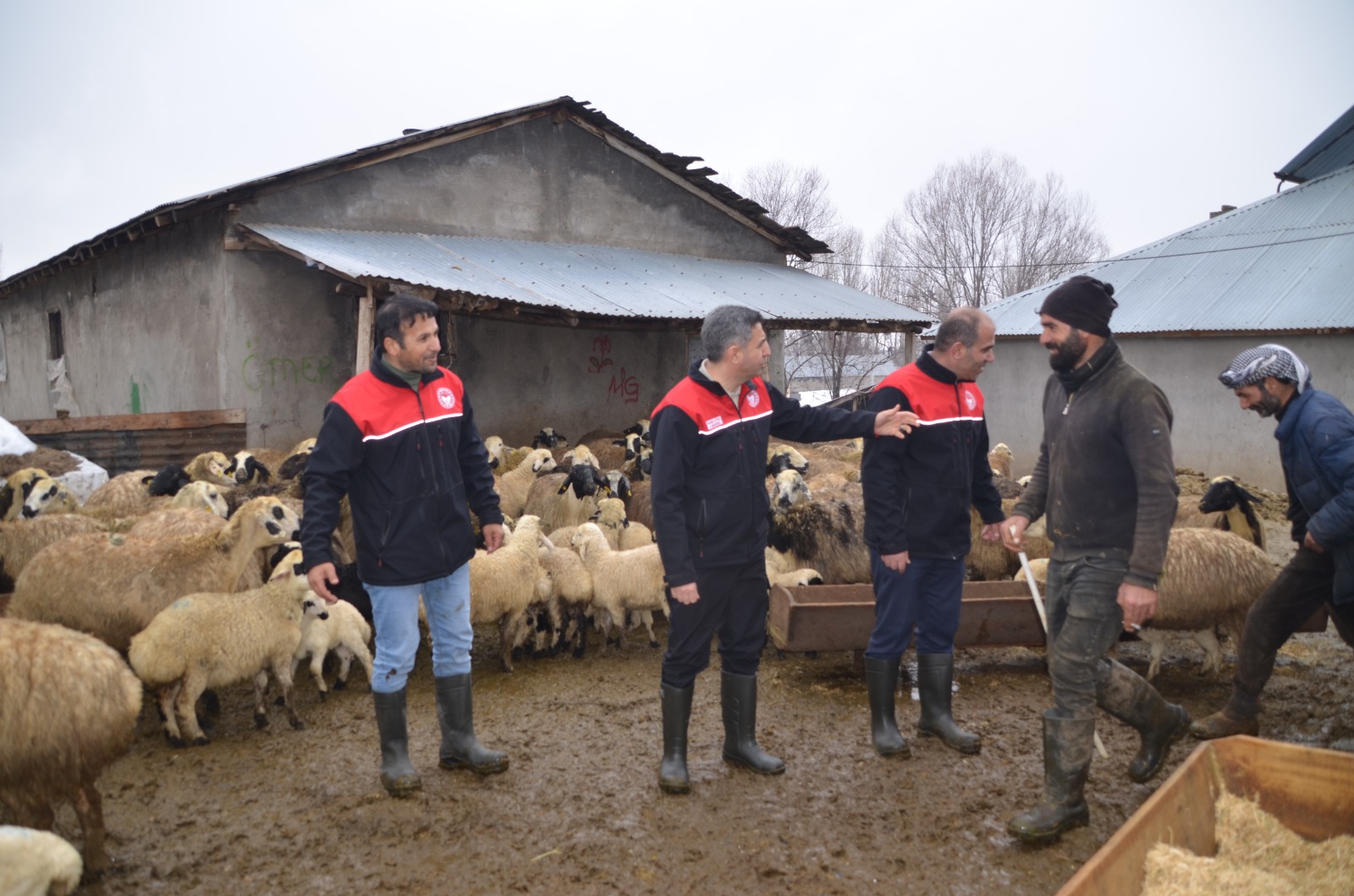 Whatsapp Image 2026 02 16 At 11.56.45 (1)