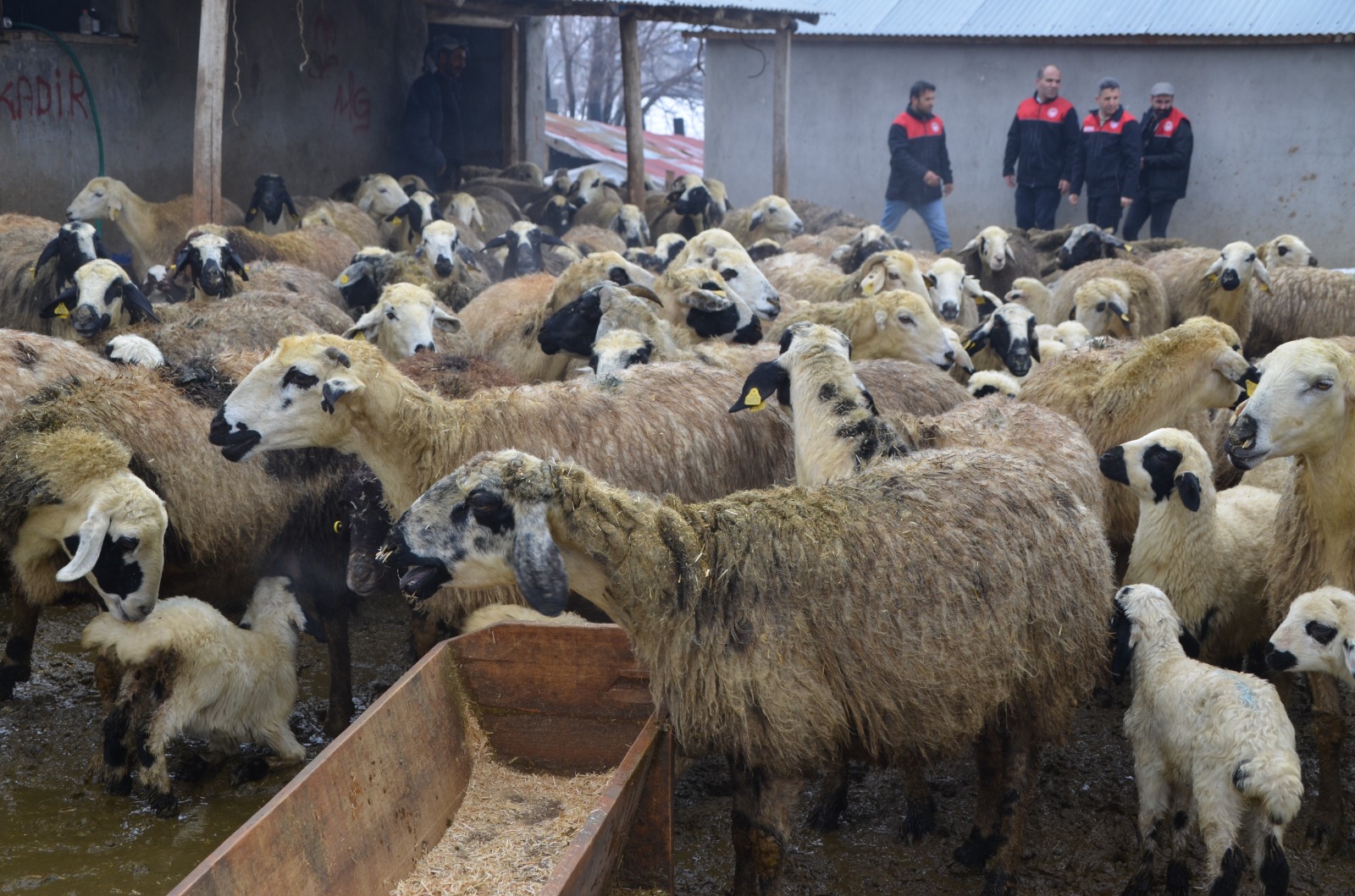 Whatsapp Image 2026 02 16 At 11.56.45