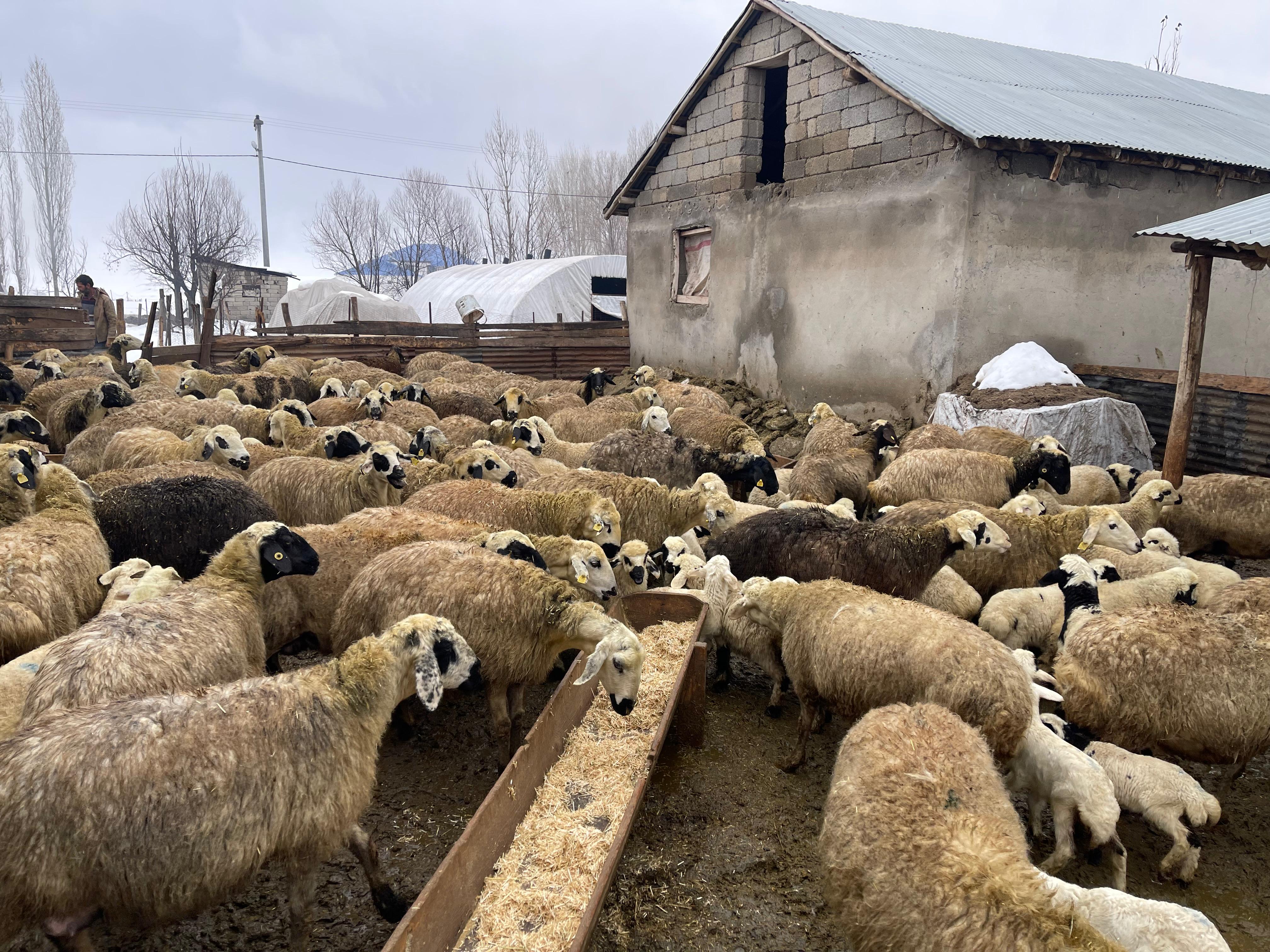 Whatsapp Image 2026 02 17 At 11.57.43 (1)