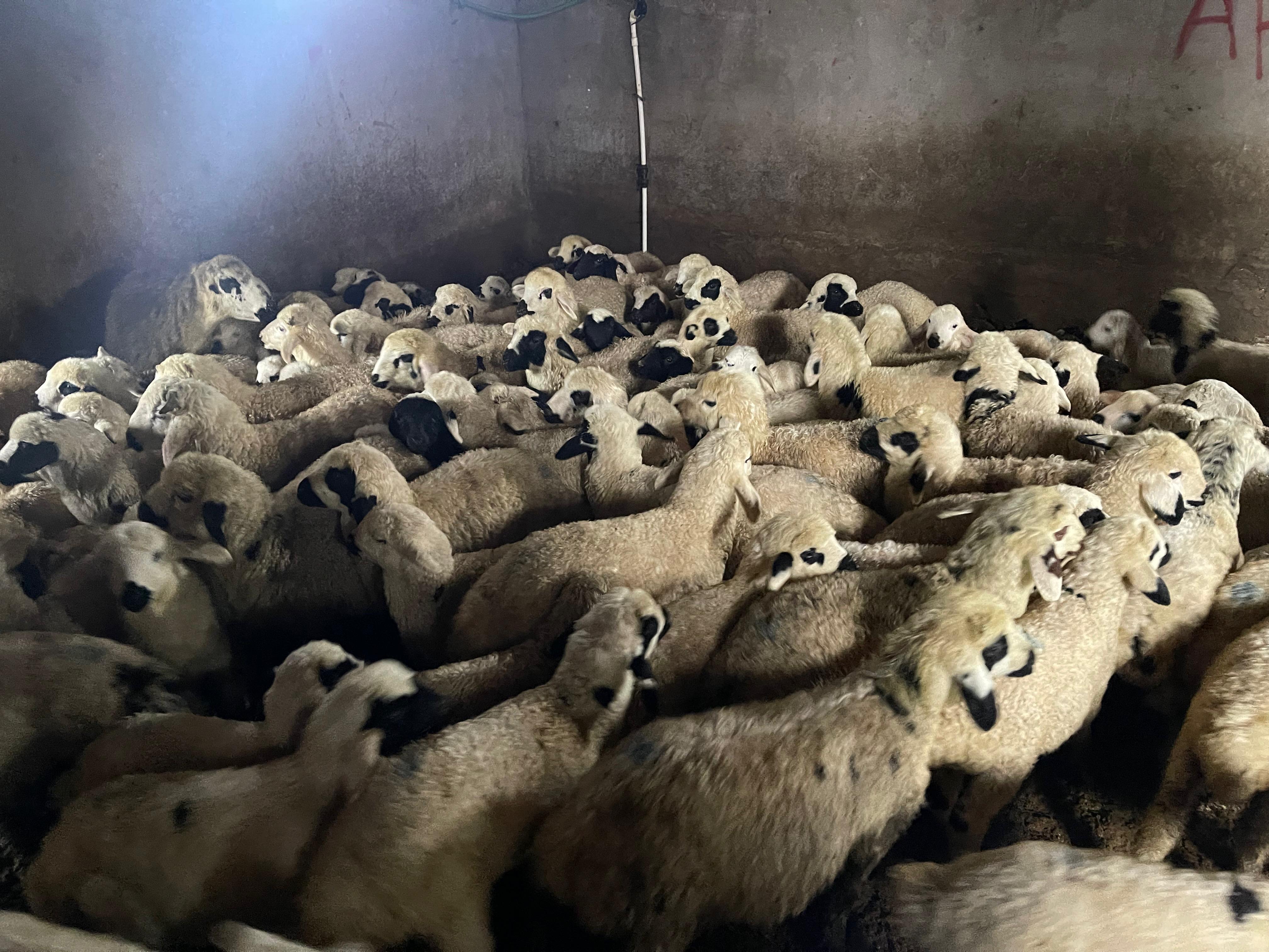 Whatsapp Image 2026 02 17 At 11.57.43