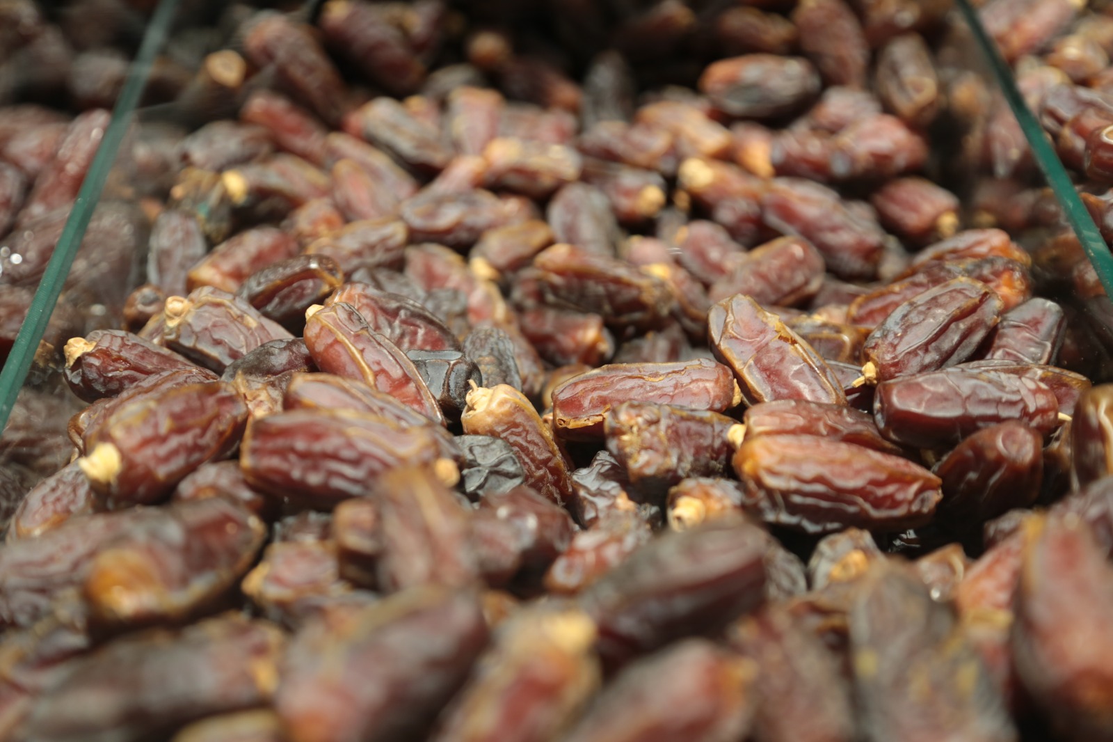 Whatsapp Image 2026 02 17 At 12.57.02 (1)