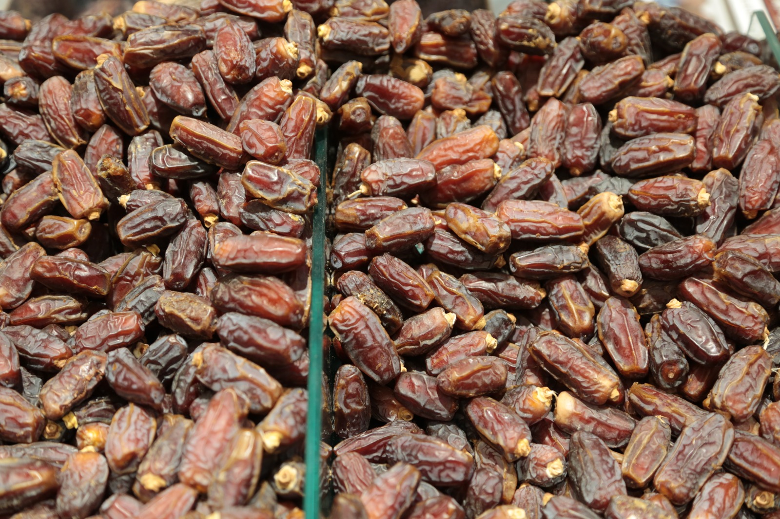 Whatsapp Image 2026 02 17 At 12.57.02 (5)