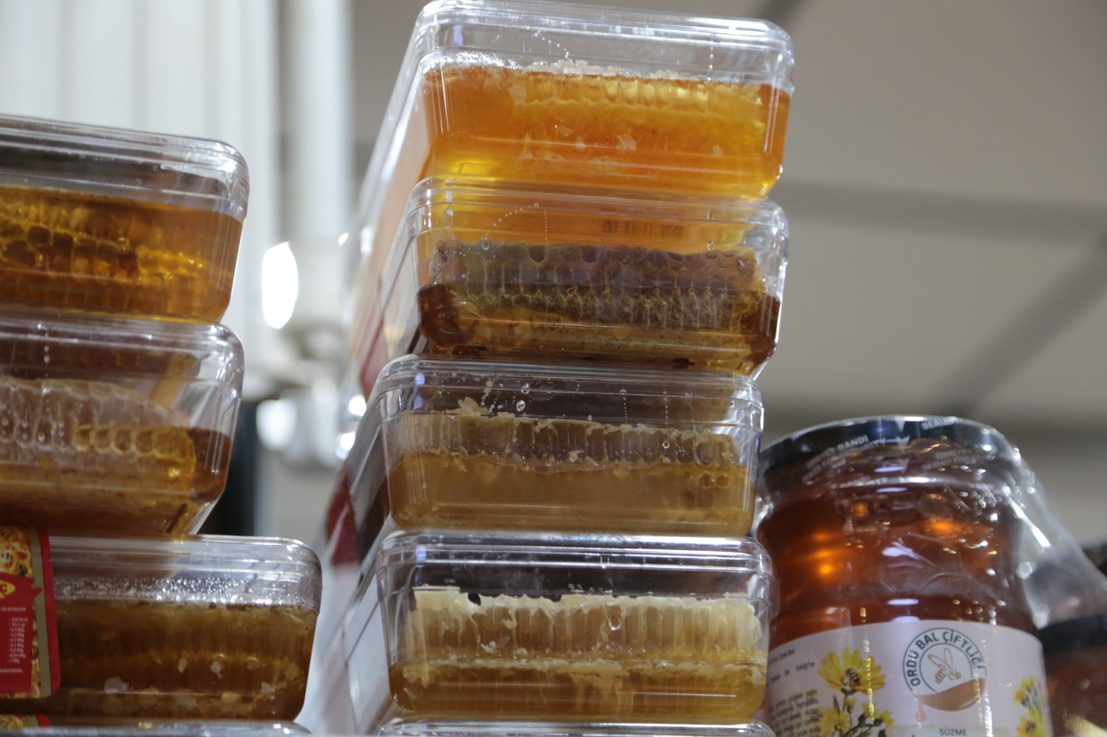 Whatsapp Image 2026 02 17 At 12.57.02 (9)