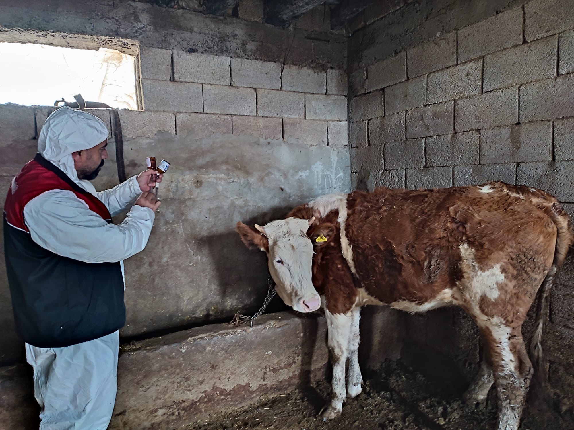 Whatsapp Image 2026 02 18 At 17.10.41