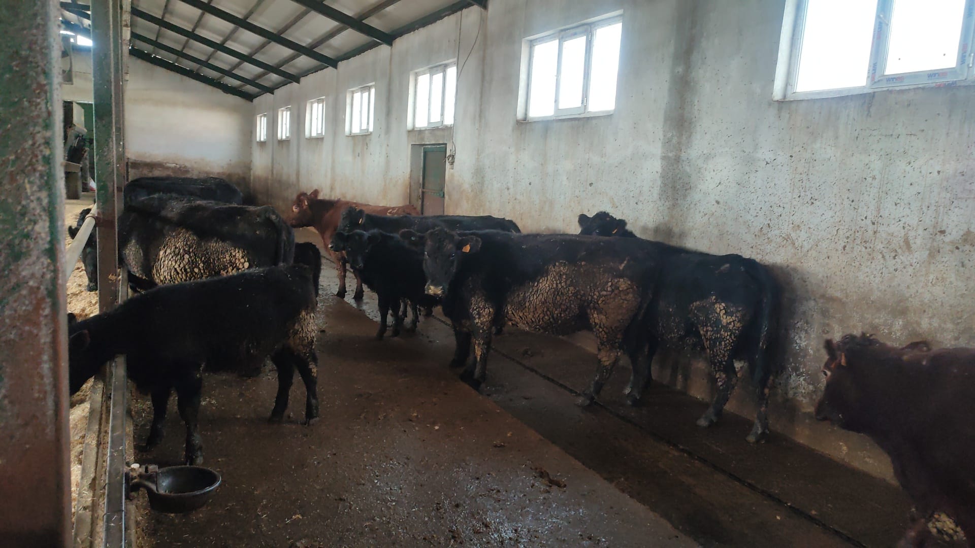 Whatsapp Image 2026 02 18 At 17.10.44