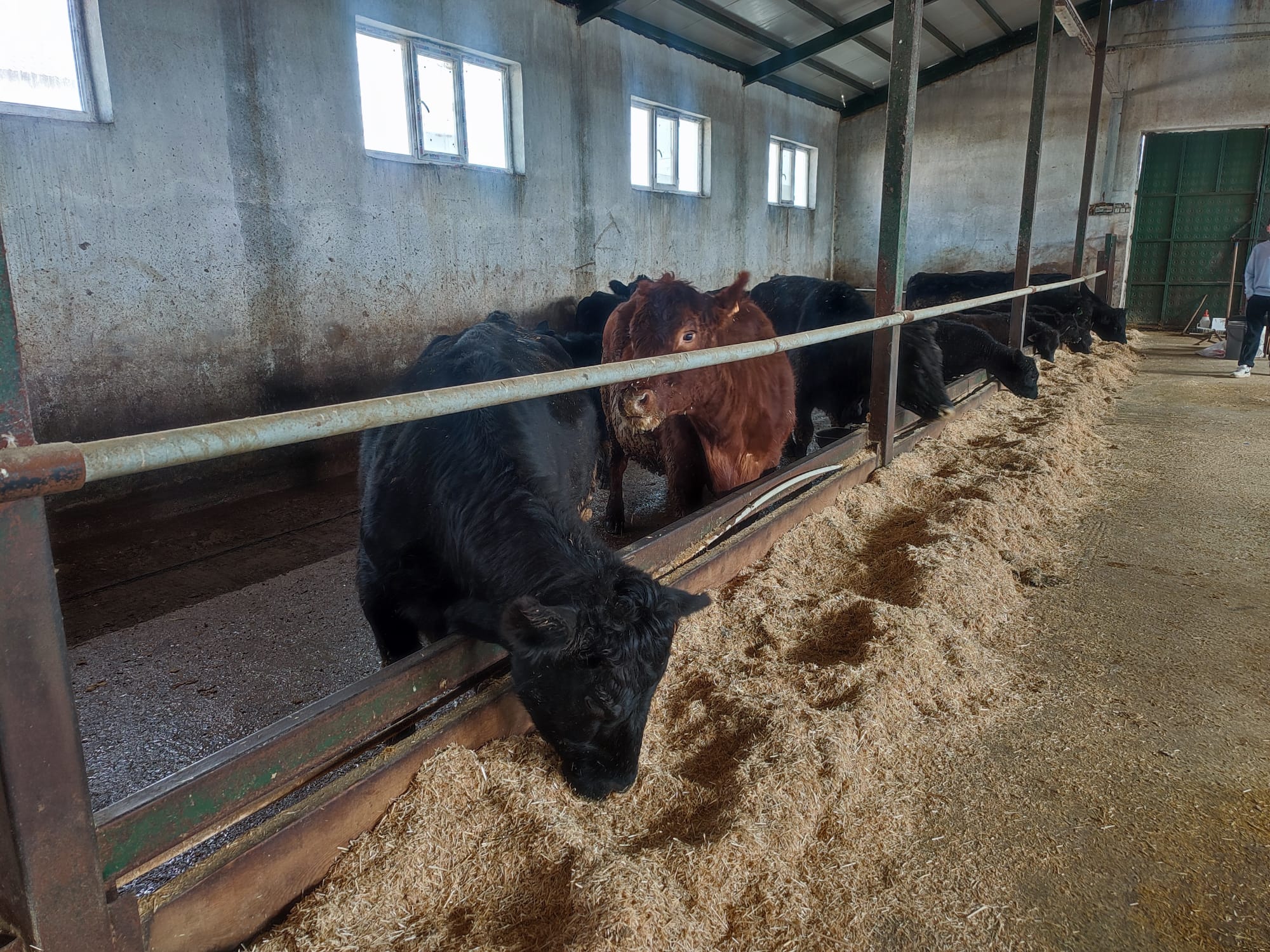 Whatsapp Image 2026 02 18 At 17.10.50 (1)