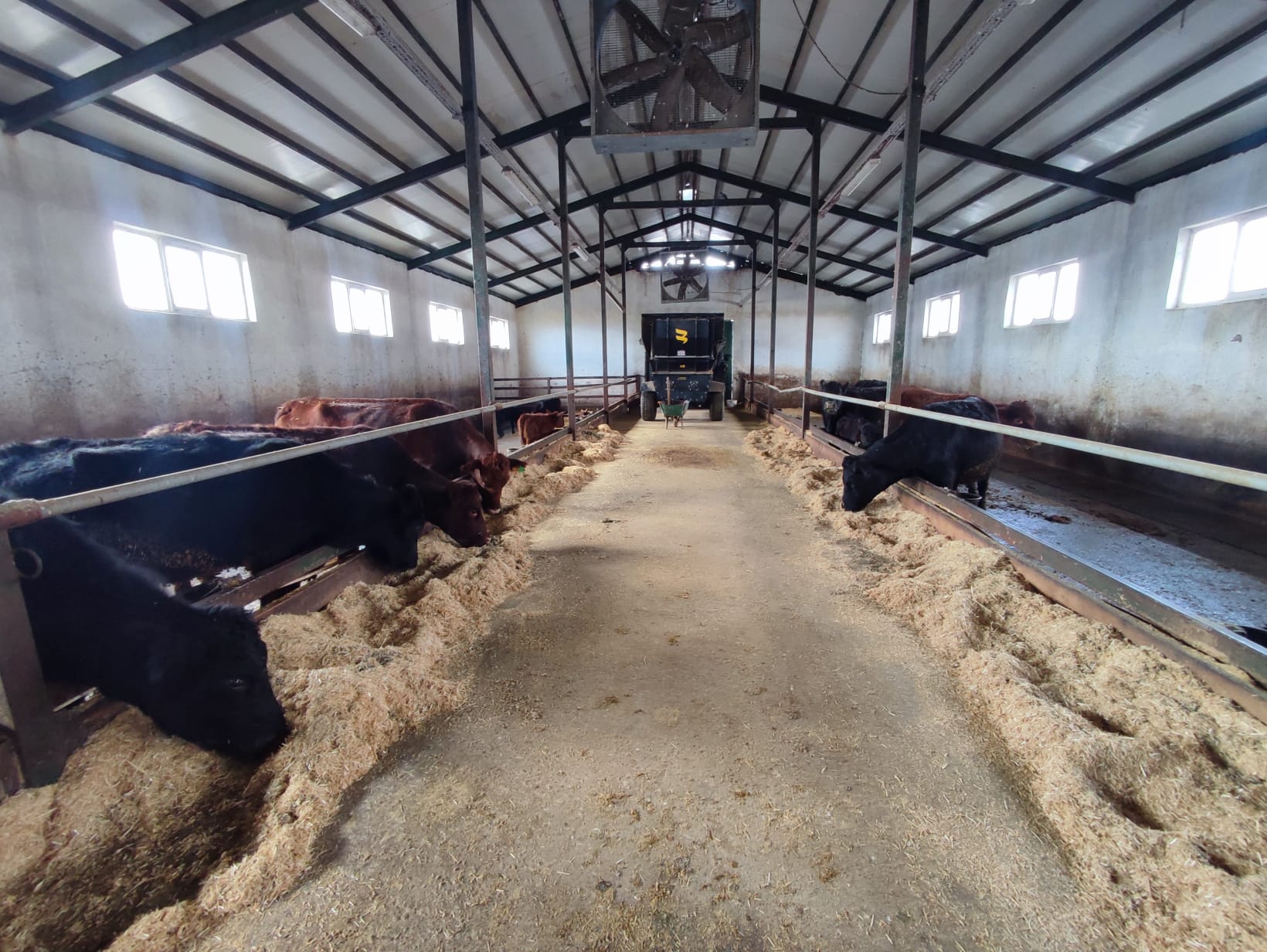 Whatsapp Image 2026 02 18 At 17.10.51 (3)