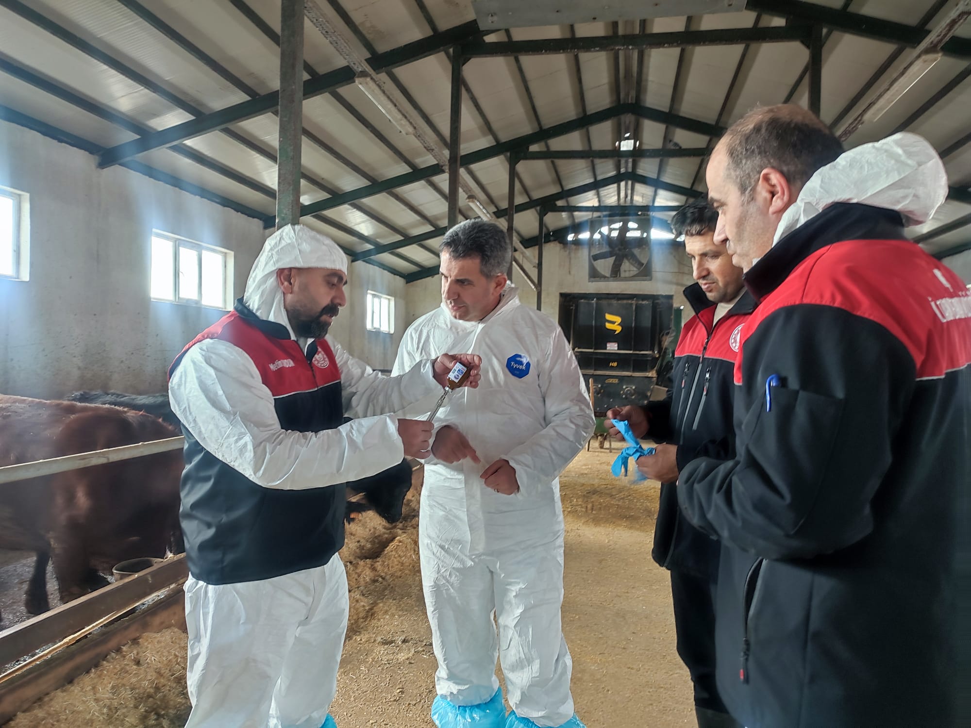 Whatsapp Image 2026 02 18 At 17.10.51