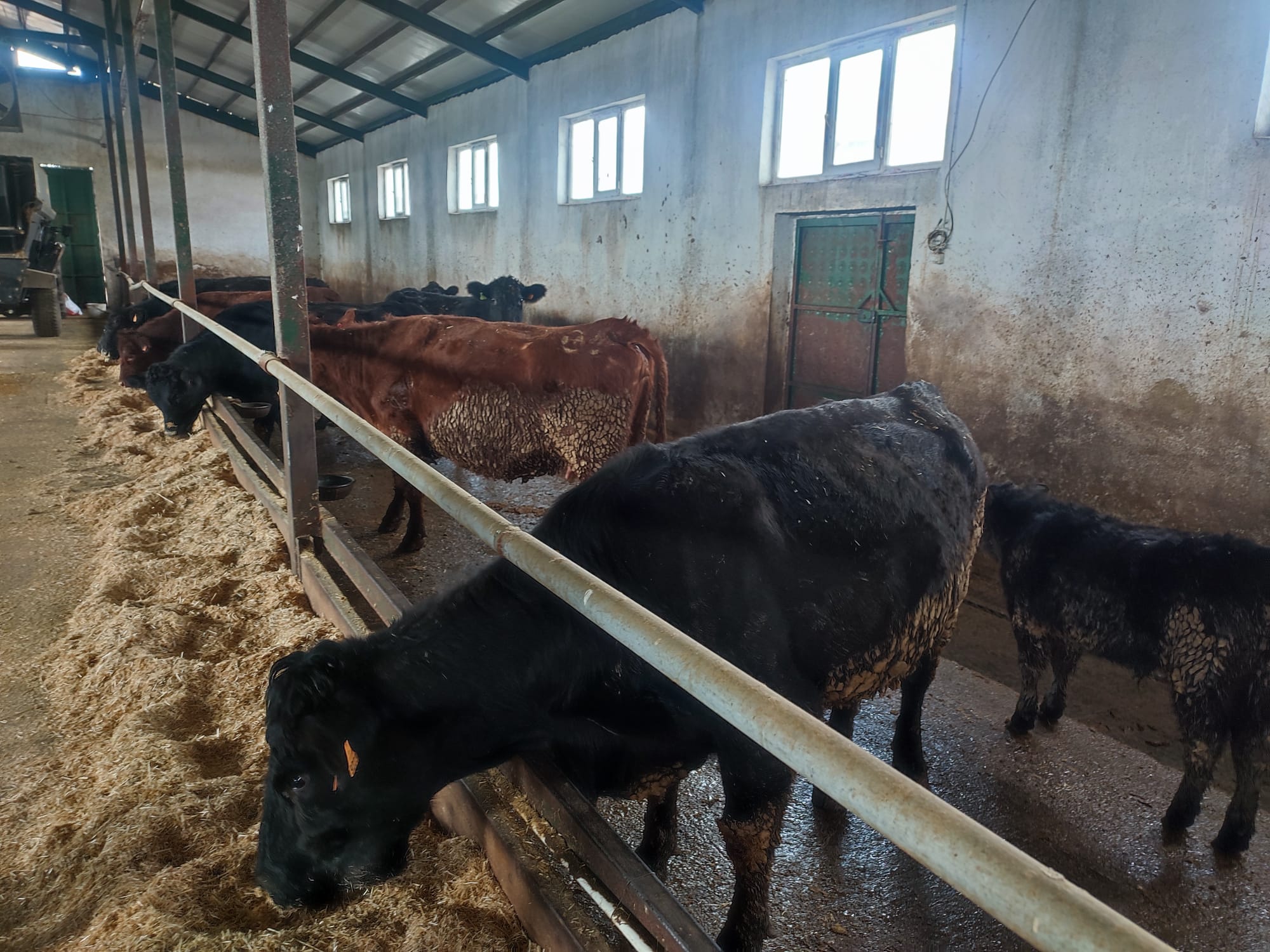 Whatsapp Image 2026 02 18 At 17.10.52 (2)