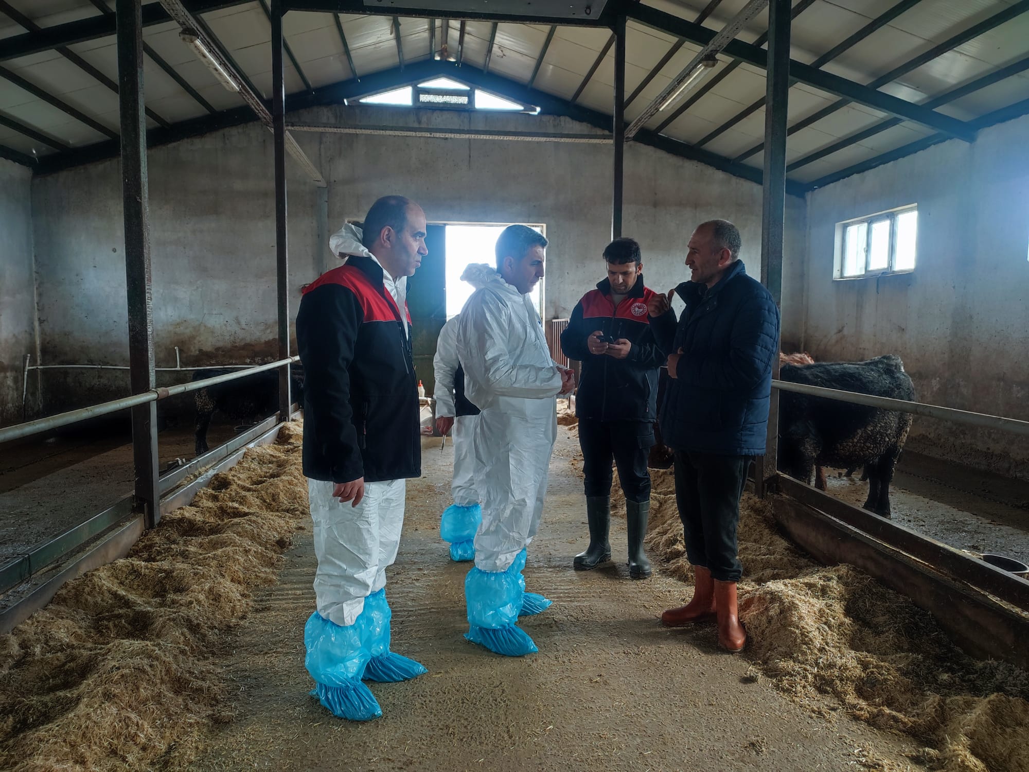 Whatsapp Image 2026 02 18 At 17.10.52 (3)