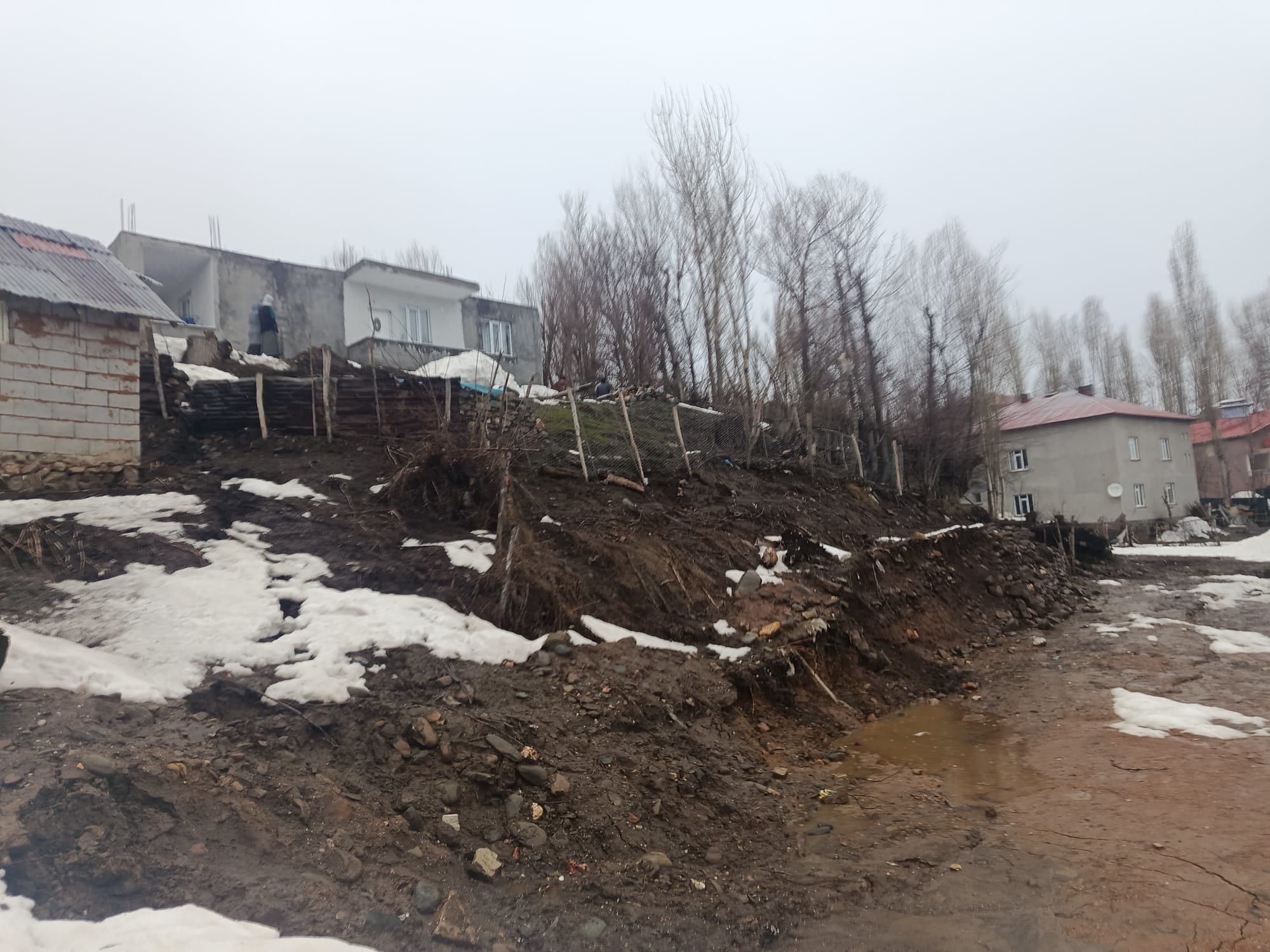 Whatsapp Image 2026 02 19 At 20.02.39