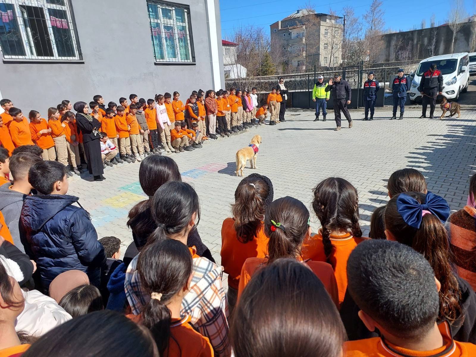 Whatsapp Image 2026 02 20 At 17.22.13 (2)