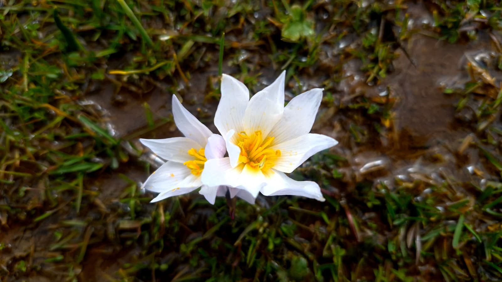 Whatsapp Image 2026 02 24 At 11.11.01 (2)