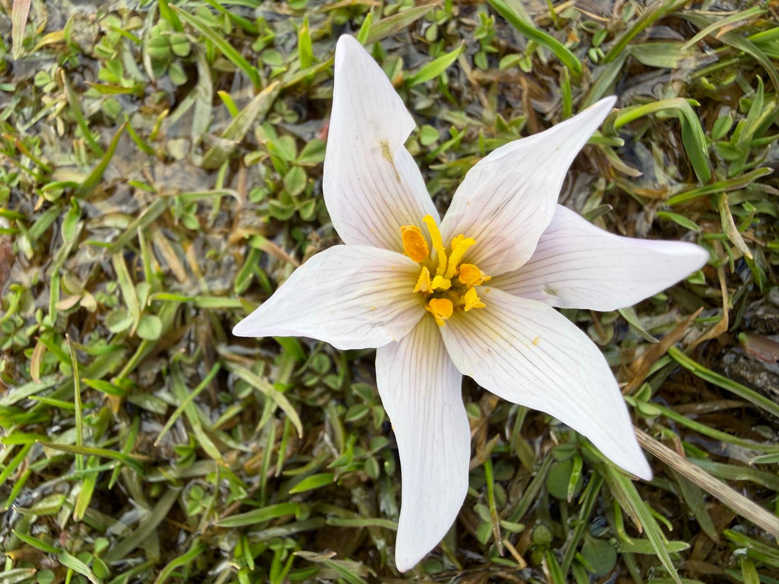 Whatsapp Image 2026 02 24 At 11.11.08 (2)