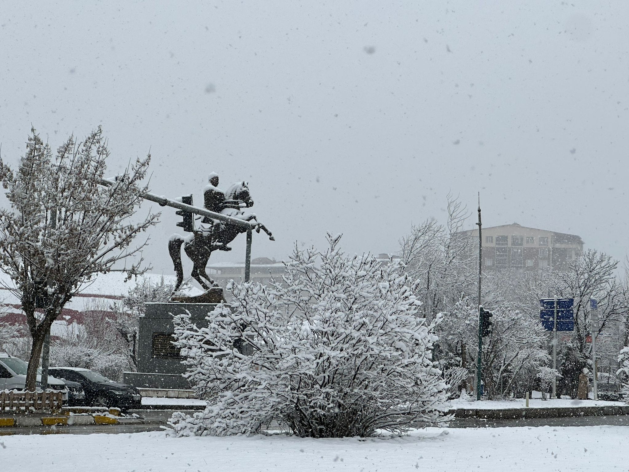 Whatsapp Image 2026 02 27 At 10.24.47