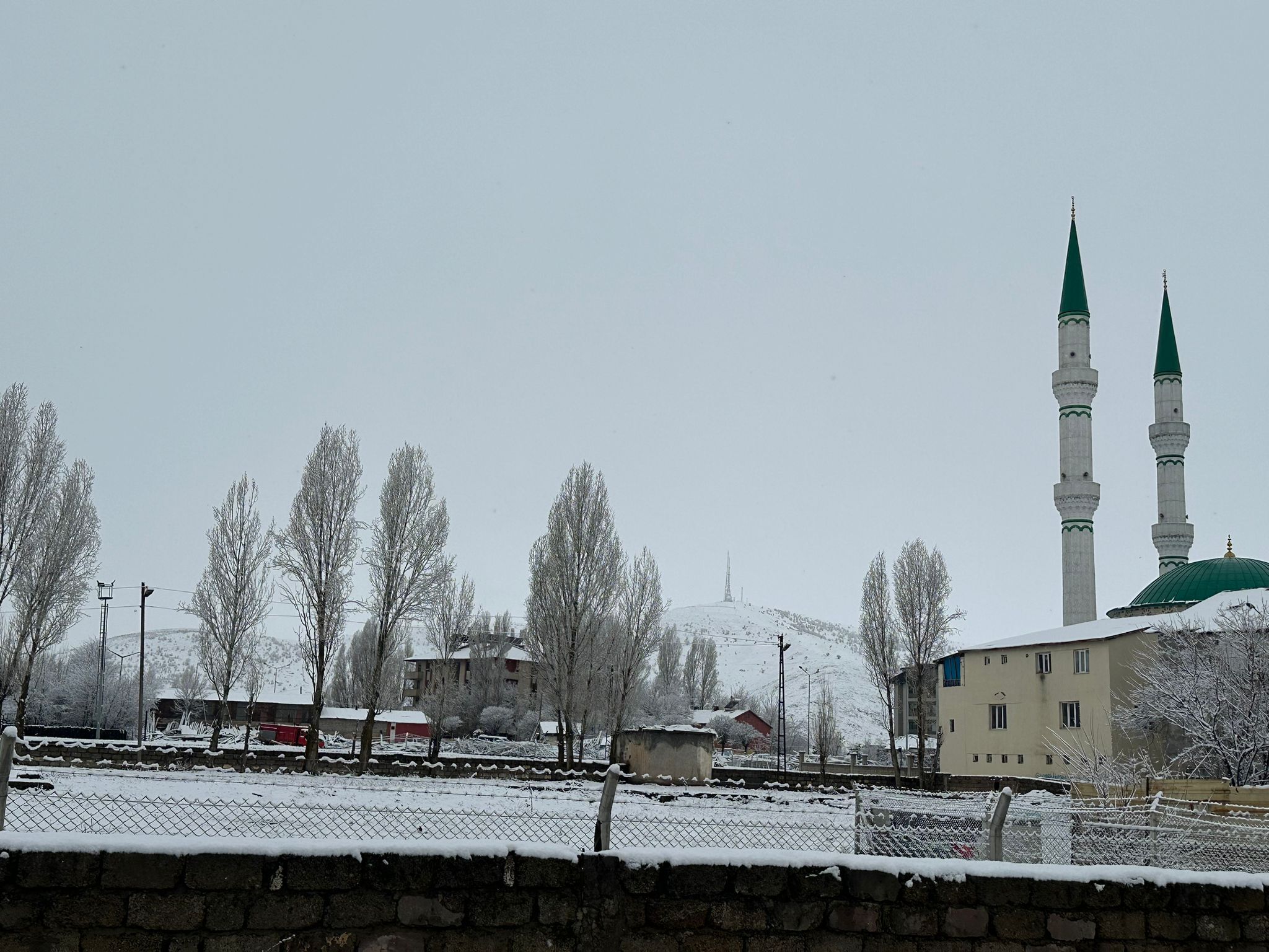 Whatsapp Image 2026 02 27 At 10.24.57 (1)