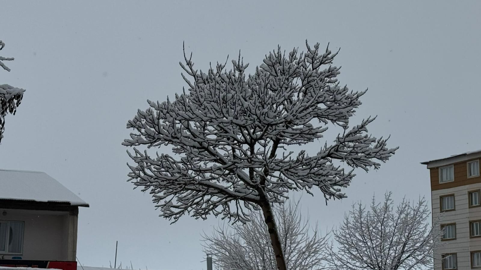 Whatsapp Image 2026 02 27 At 10.24.58 (1)