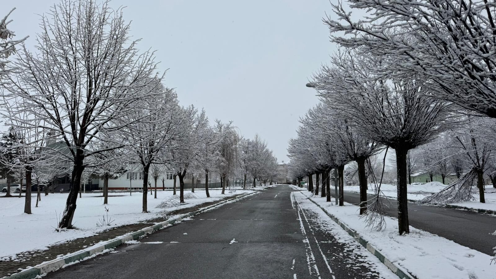 Whatsapp Image 2026 02 27 At 10.24.58