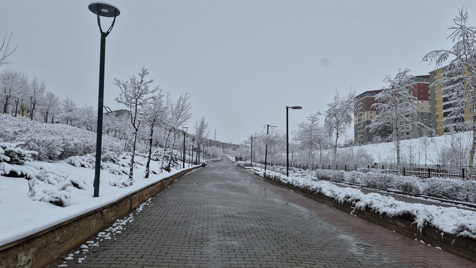 Whatsapp Image 2026 02 27 At 10.37.44