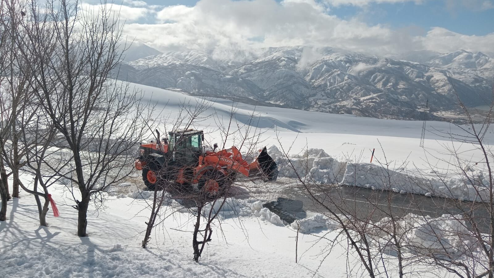 Whatsapp Image 2026 03 01 At 13.00.52