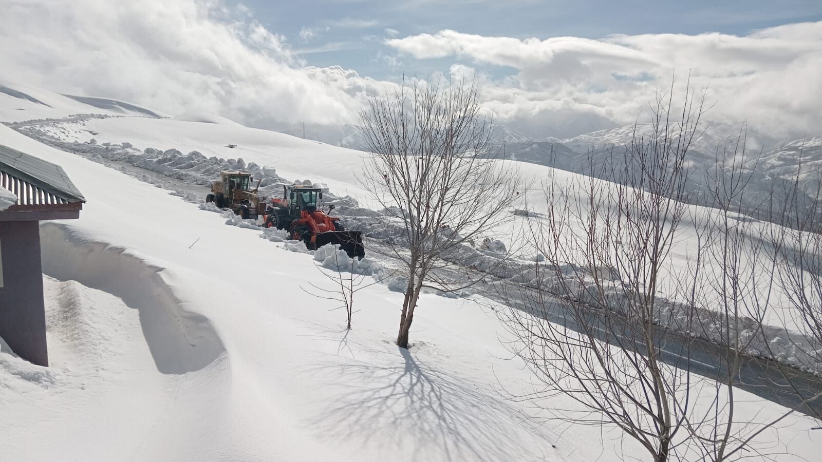 Whatsapp Image 2026 03 01 At 13.00.55