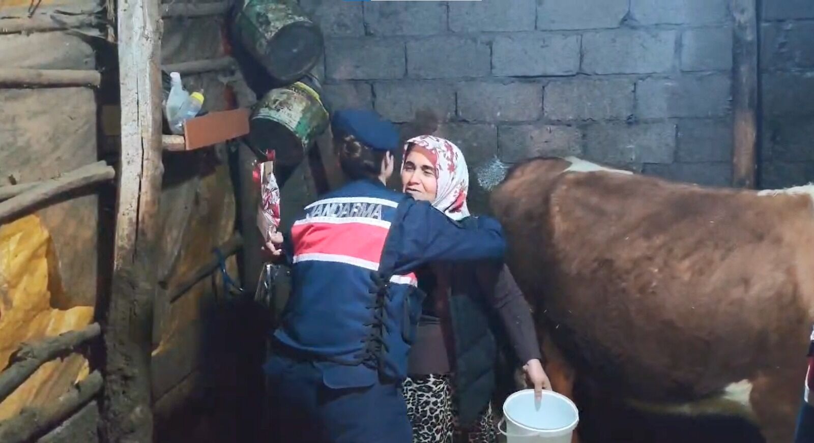 Whatsapp Image 2026 03 08 At 12.46.26