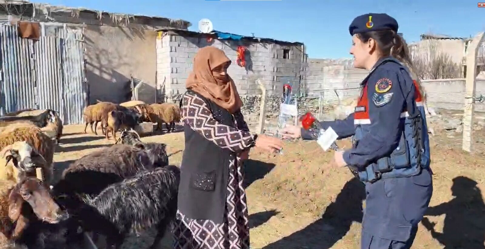 Whatsapp Image 2026 03 08 At 12.46.39