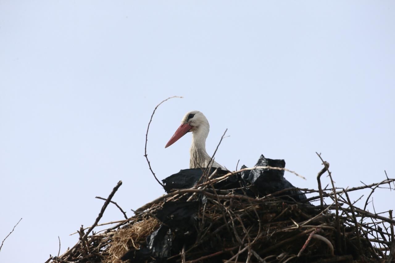 Whatsapp Image 2026 03 09 At 11.31.38 (2)