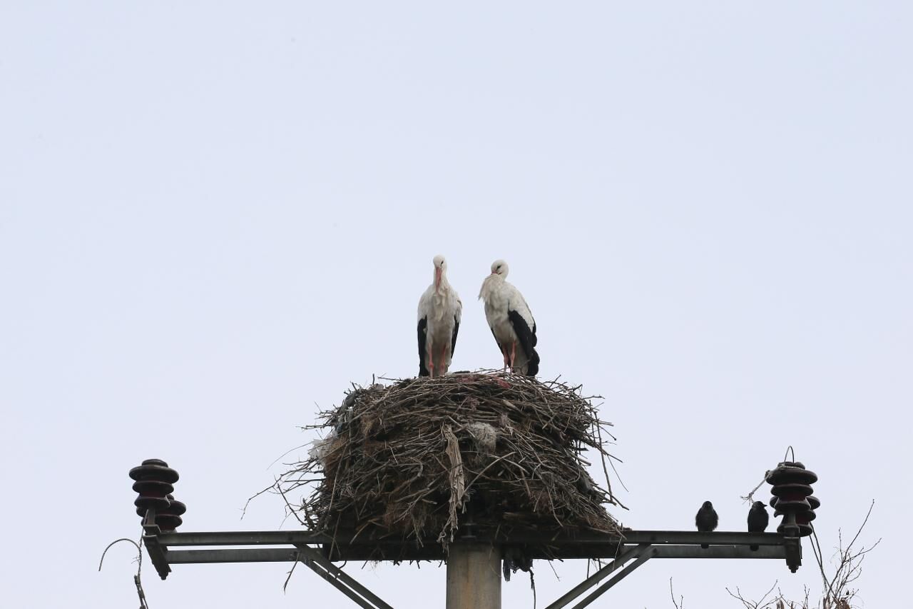 Whatsapp Image 2026 03 09 At 11.31.39 (2)