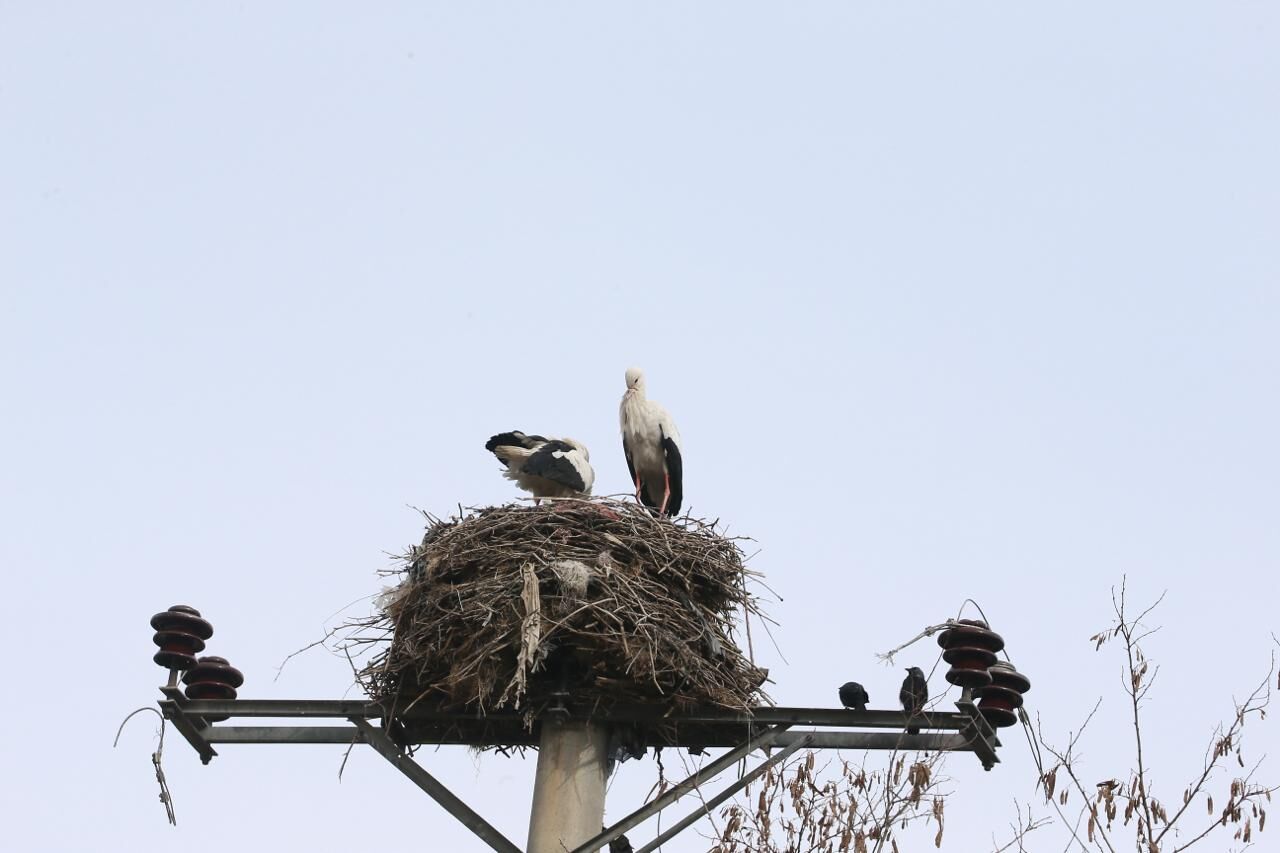 Whatsapp Image 2026 03 09 At 11.31.39